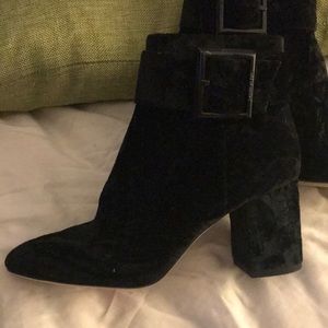 NEW, Never Worn Louise et Cie VELVET Bootie 👢